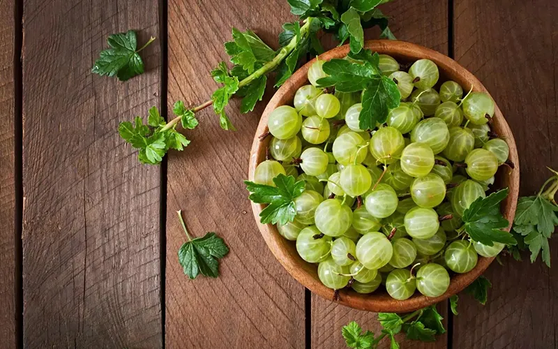 Amla Export