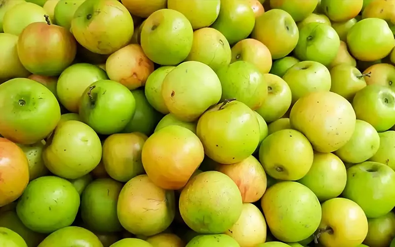 Apple Ber Export