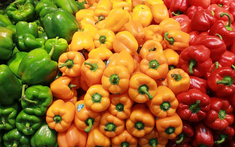 Capsicum Export