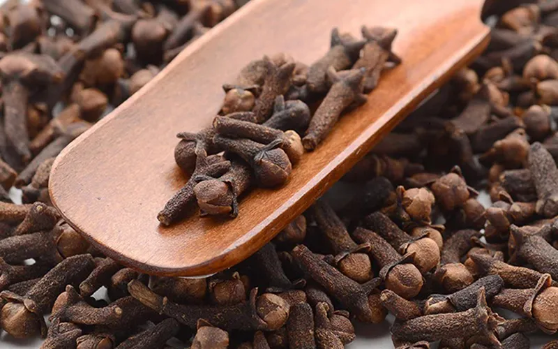 Clove Export