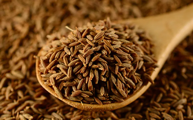Cumin Seeds Export