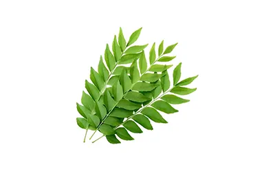 Curry leaves