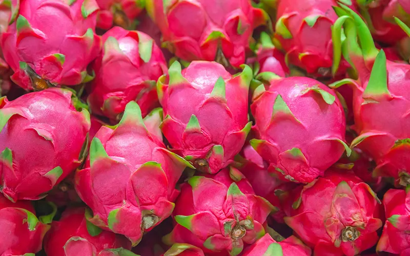 Dragon Fruit Export