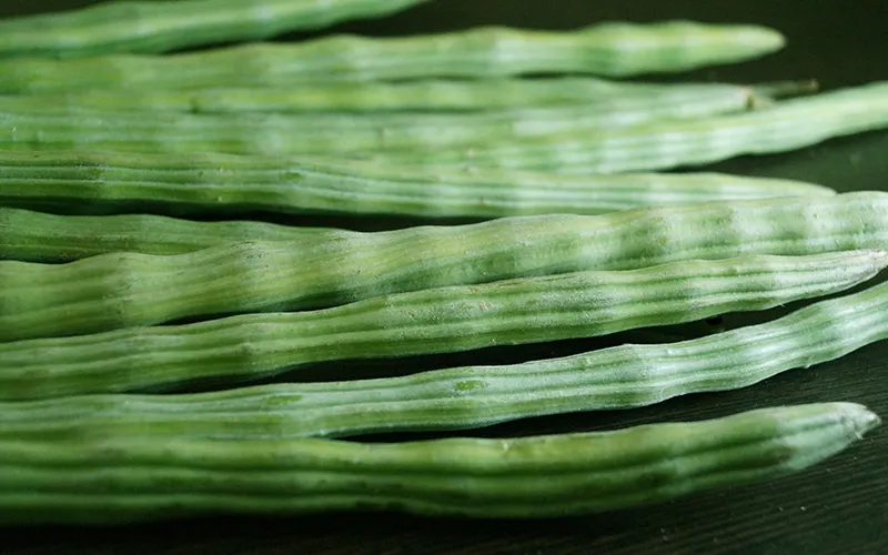 Drumstick Export