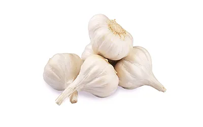 garlic