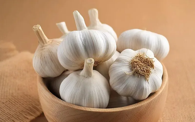 Garlic Export