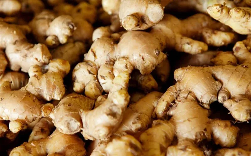 Ginger Export