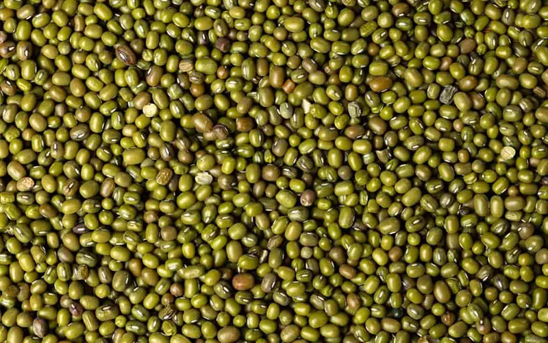Green Gram Export