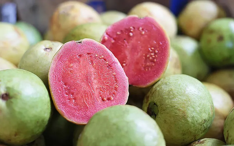 Guava Export