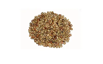 horse gram