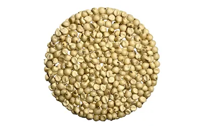 jowar