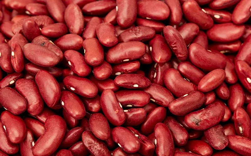 Kidney Beans Export