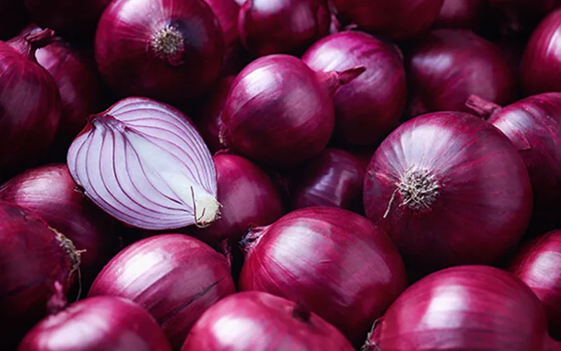 Onion Export