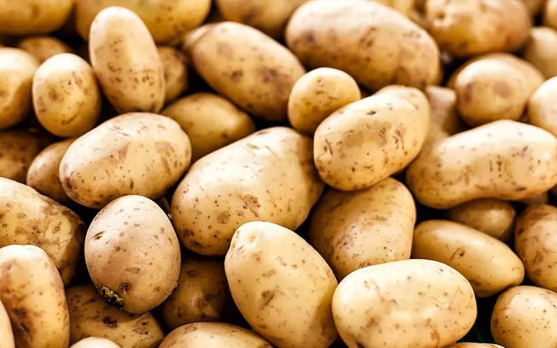 Potato Export