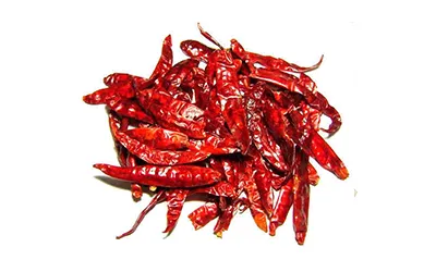  Red Chilli