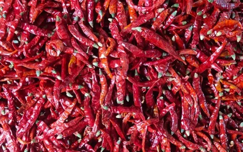 Red Chilli Export