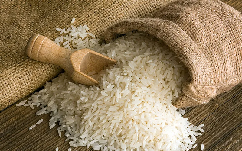 Rice Export