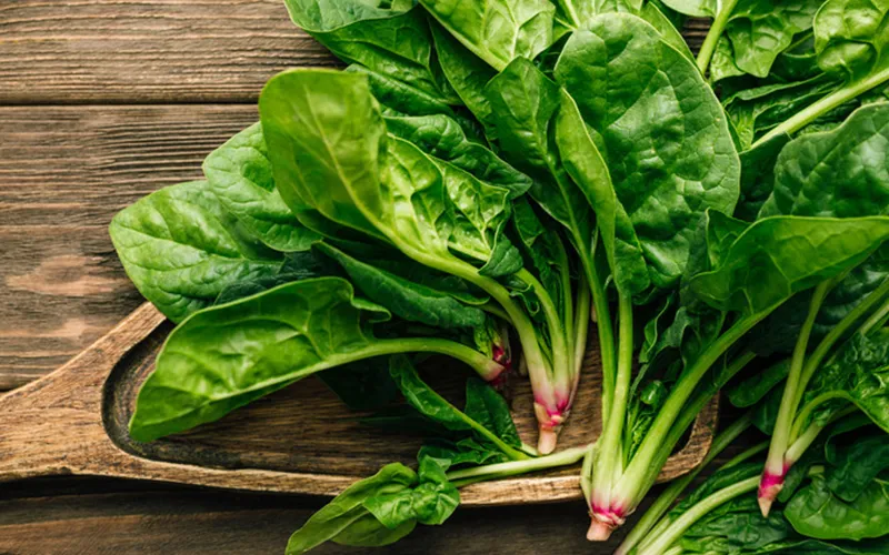 Spinach Export