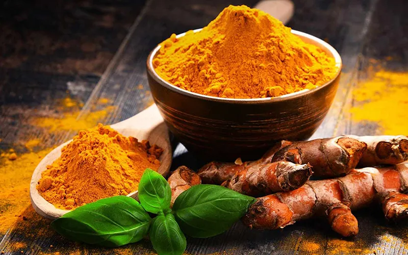 Turmeric Export