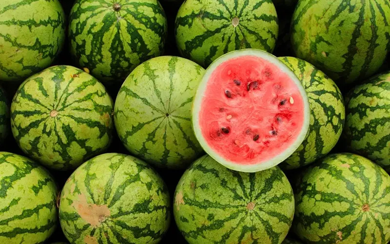 Watermelon Export
